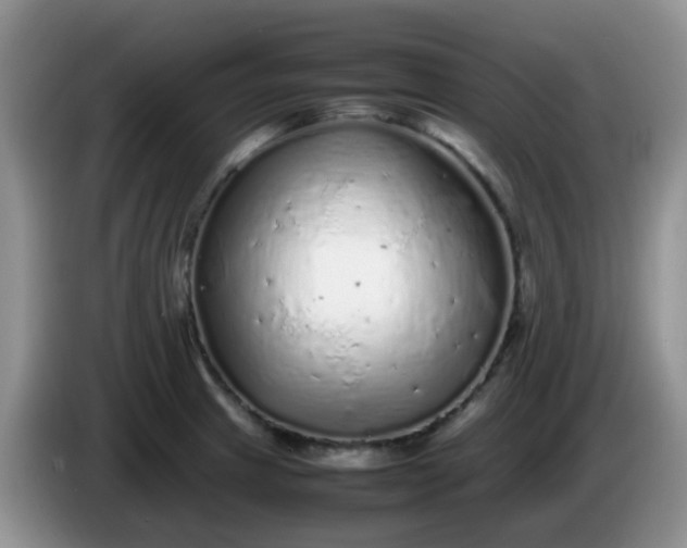 X0000086261233200704122004