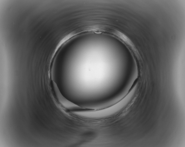 X0000086261234200704122004