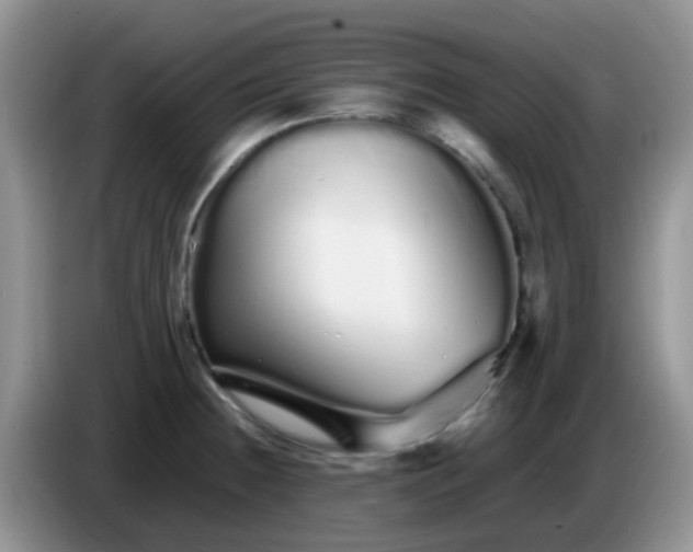 X0000086261236200704122004