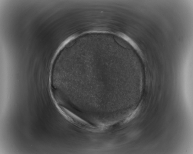 X0000086261237200704122004