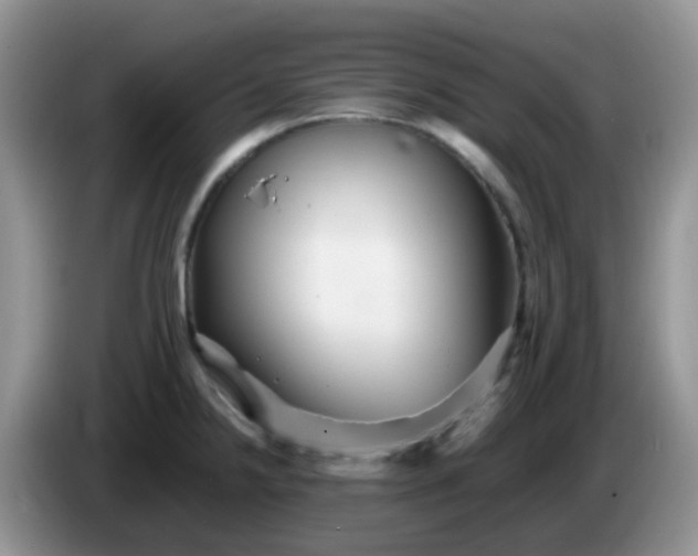 X0000086261238200704122004