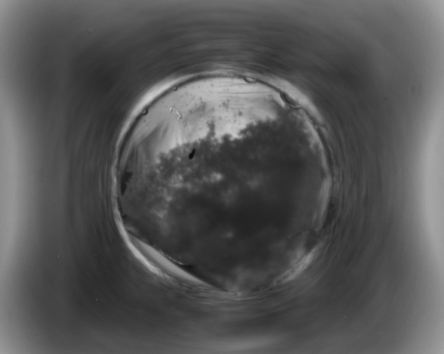 X0000086261239200704122004