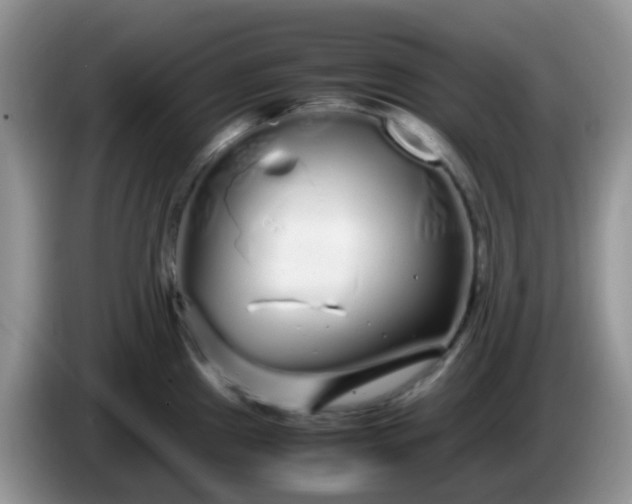 X0000086261241200704122004