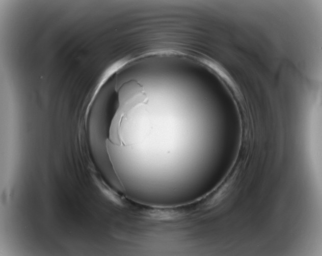 X0000086261242200704122004