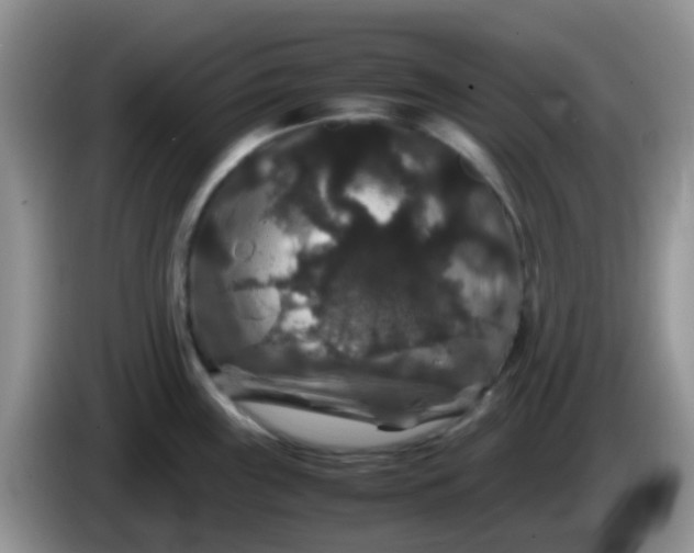 X0000086261243200704122004