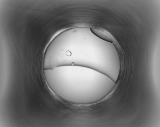X0000086261244200704122004