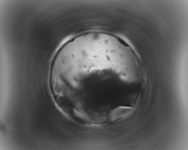 X0000086261245200704122004