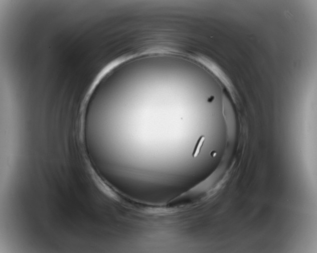 X0000086261246200704122004