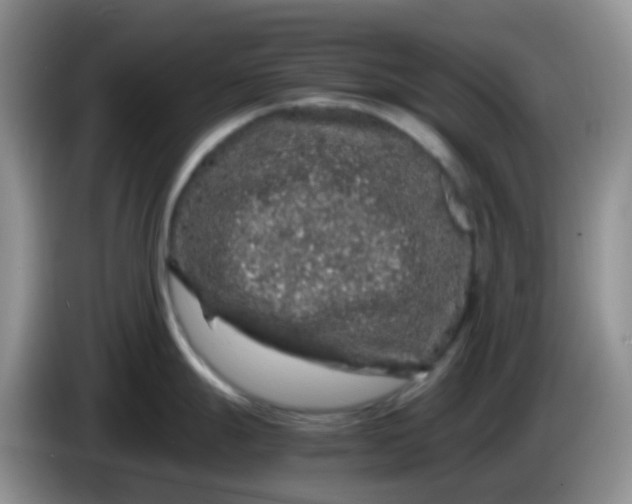 X0000086261247200704122004