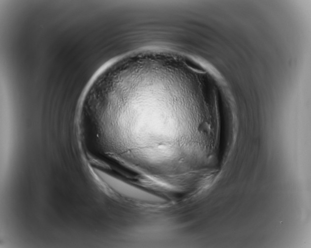 X0000086261248200704122004
