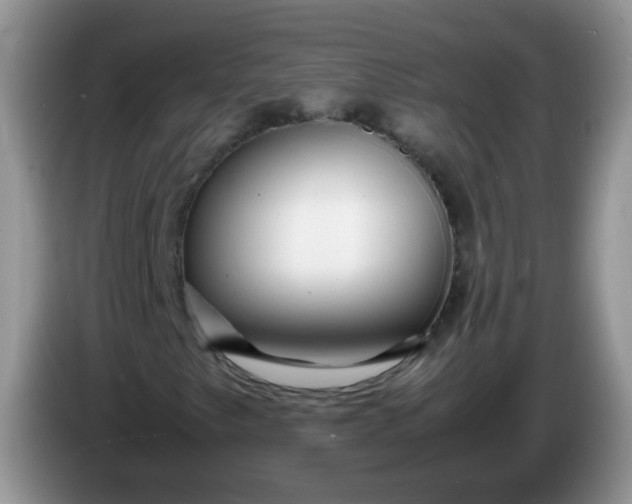 X0000086261249200704122004