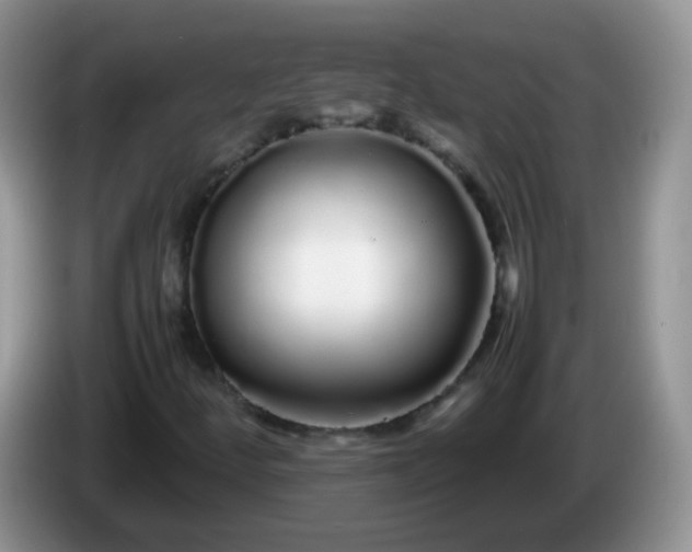 X0000086261252200704122004