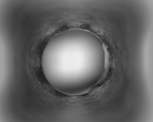 X0000086261253200704122004