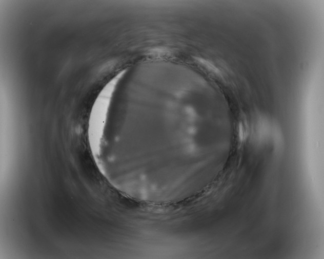 X0000086261254200704122004