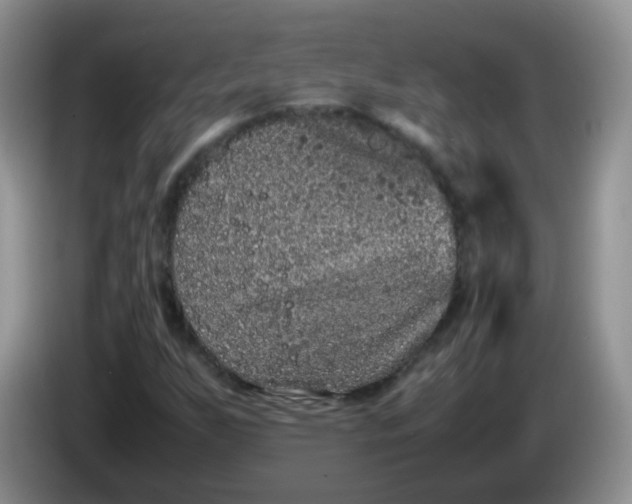 X0000086261255200704122004