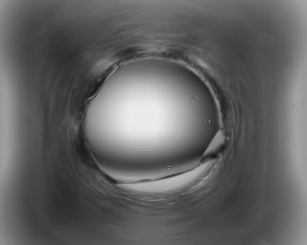 X0000086261257200704122004