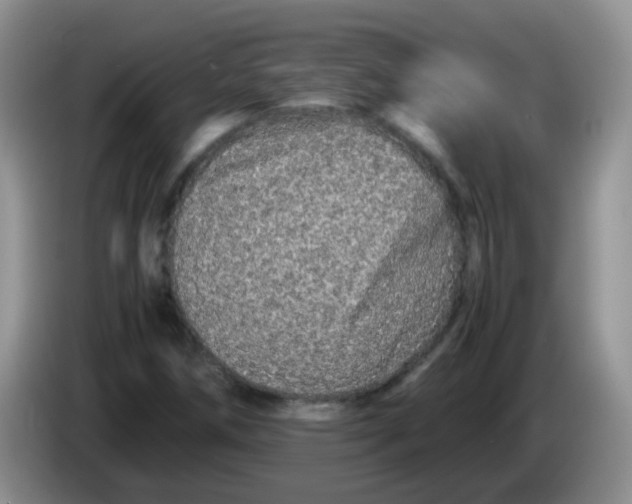 X0000086261258200704122004