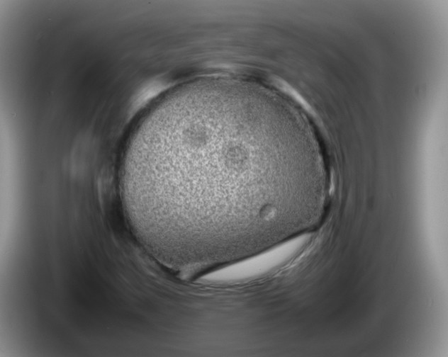 X0000086261259200704122004