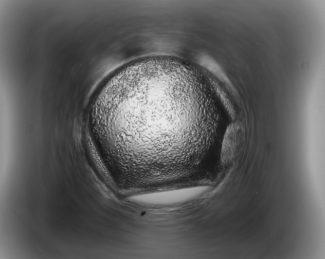 X0000086261260200704122004