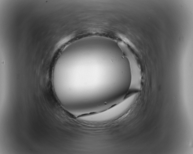 X0000086261261200704122004