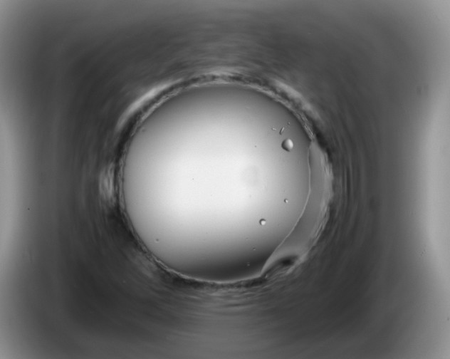 X0000086261262200704122004