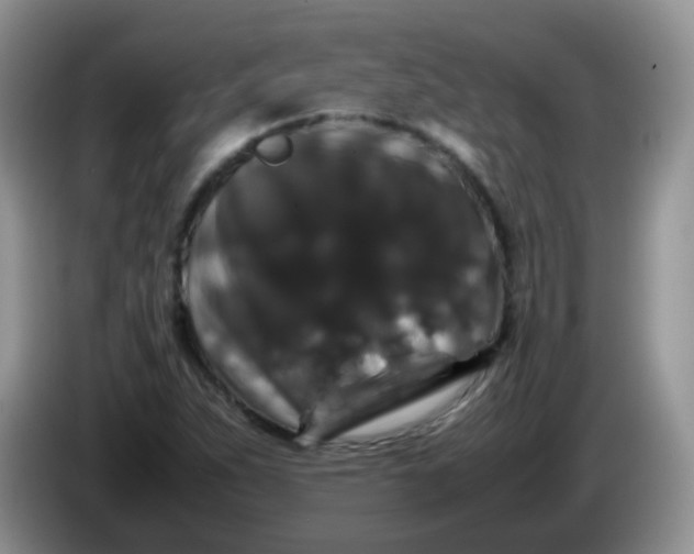 X0000086261263200704122004