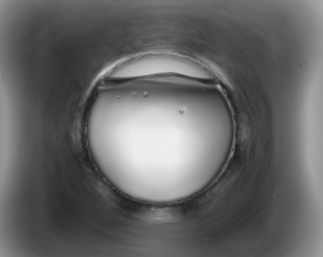 X0000086261264200704122004