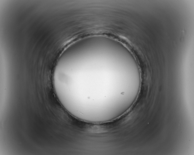 X0000086261265200704122004