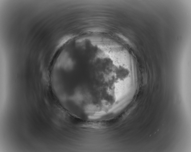 X0000086261266200704122004