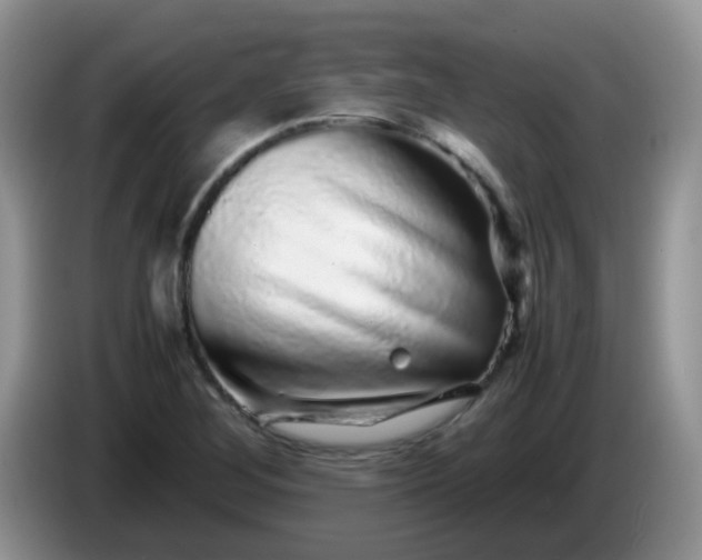 X0000086261268200704122004