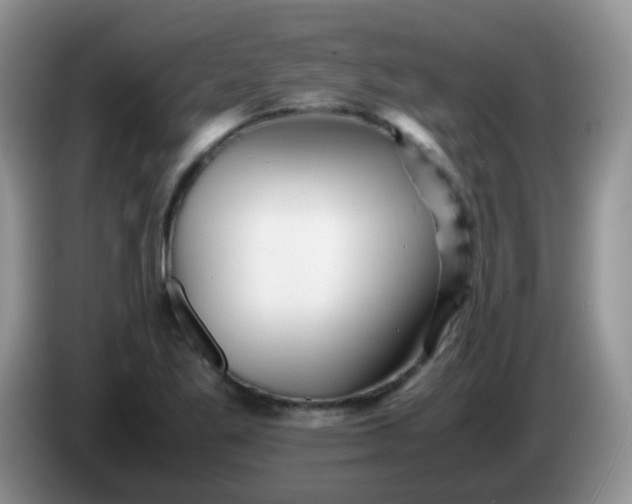 X0000086261269200704122004