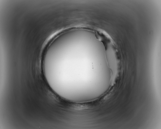 X0000086261270200704122004