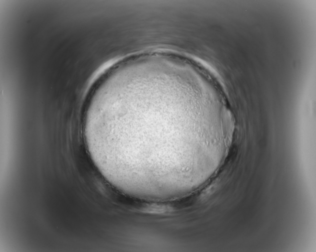 X0000086261271200704122004