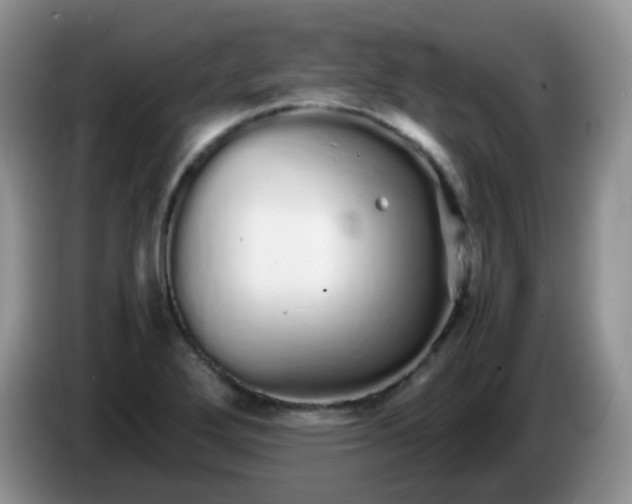 X0000086261272200704122004