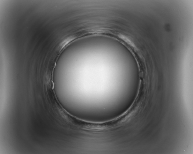 X0000086261273200704122004