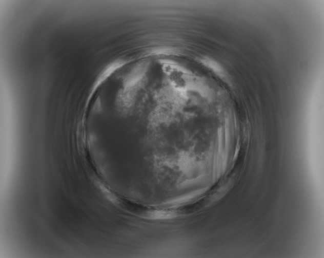 X0000086261274200704122004