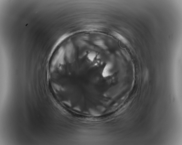 X0000086261275200704122004