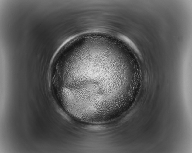 X0000086261276200704122004