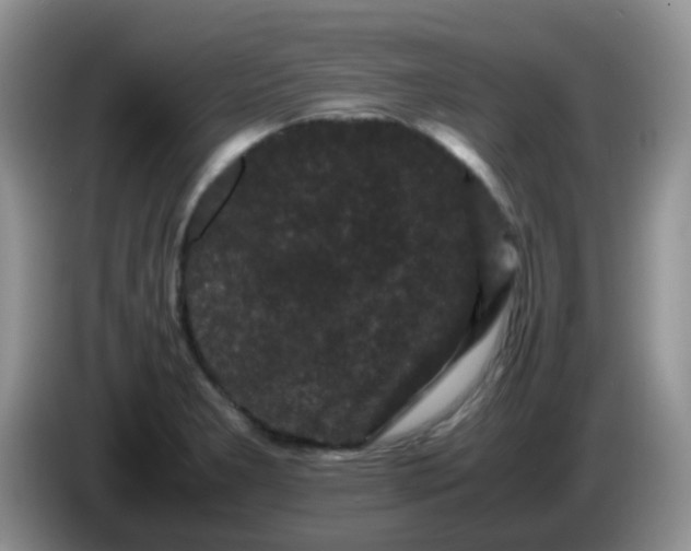 X0000086261277200704122004