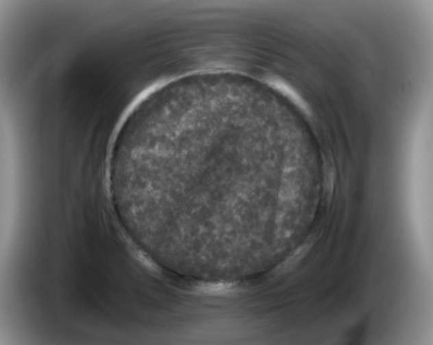 X0000086261278200704122004