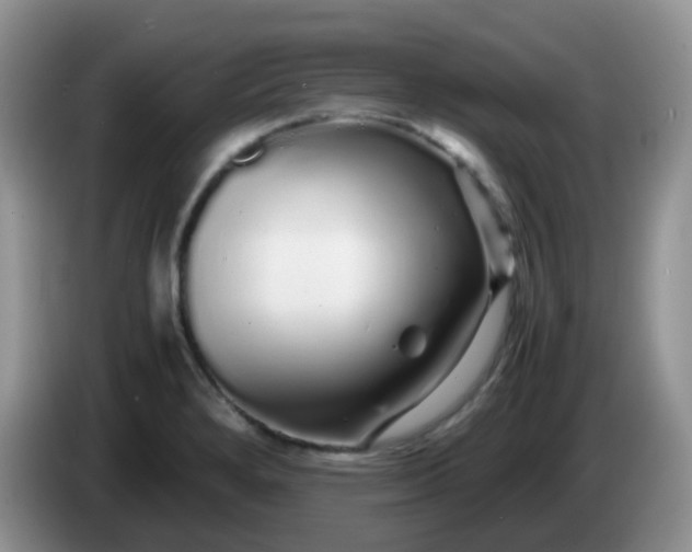 X0000086261280200704122003