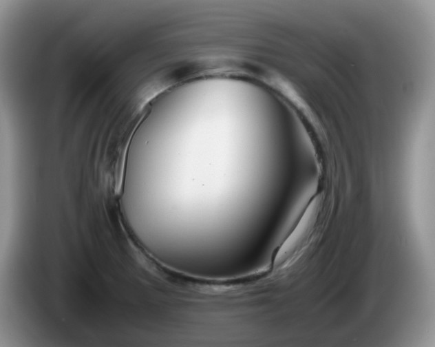 X0000086261281200704122003