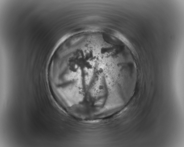 X0000086261283200704122003