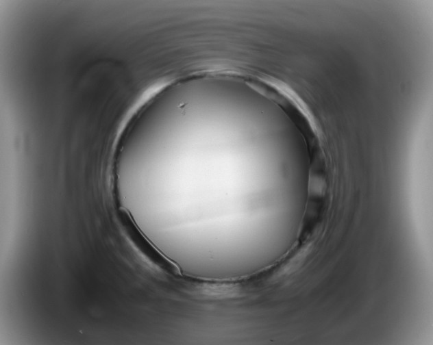 X0000086261285200704122003