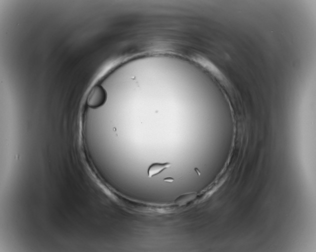 X0000086261286200704122003