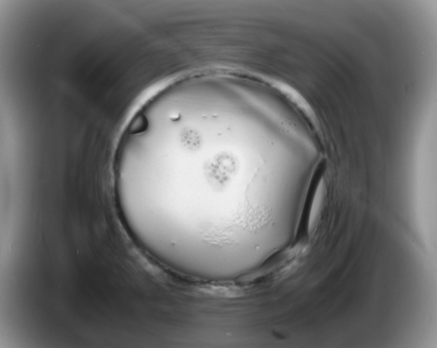 X0000086261287200704122003