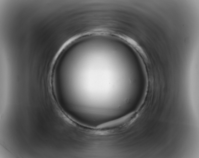 X0000086261288200704122003