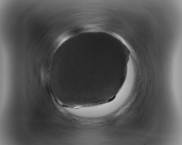 X0000086261289200704122003