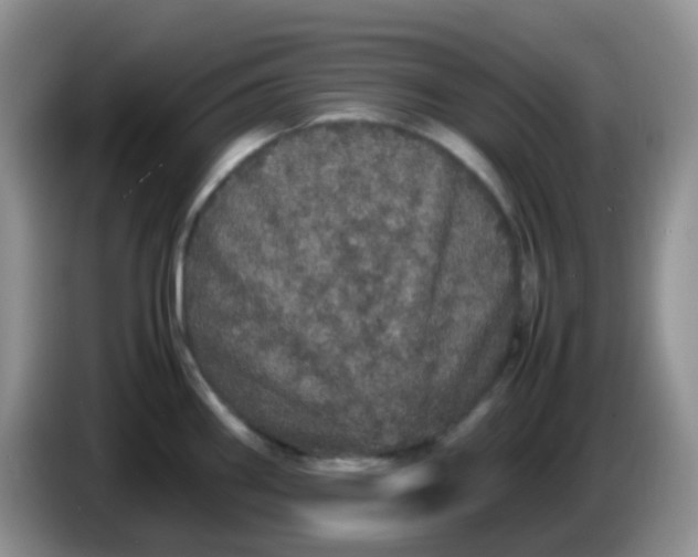 X0000086261290200704122003