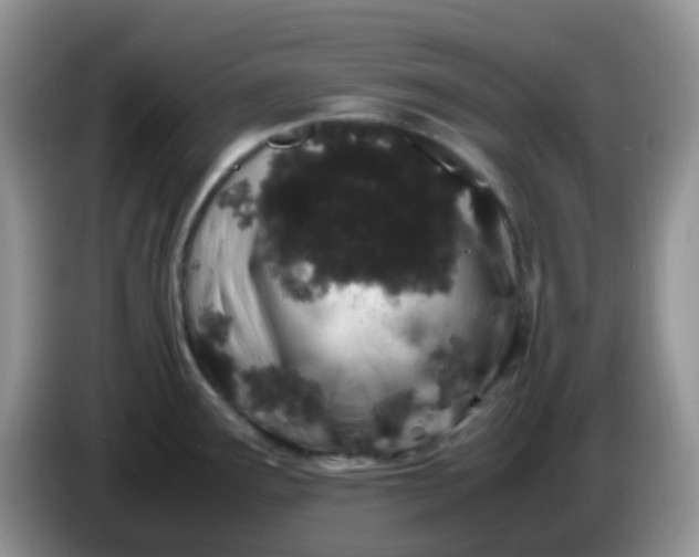 X0000086261291200704122003